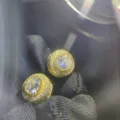 Dorado