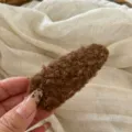 Pince BB Goutte / Brun Mocha