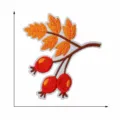 Beeren Stil (C5CW-092-07)