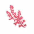 Coral (W11HL-12-03)