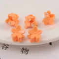 Oranje Bloemen
