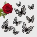 Style 6 / Black