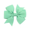 #33 (Vert Menthe)