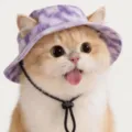 Lila