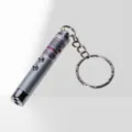 Laser Pointer Bagged / Silver