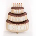 Chocolate Sauce Cake