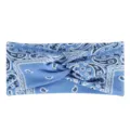 Bleu Paisley