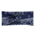 Paisley Navy Blue