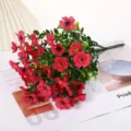 Roze Rood