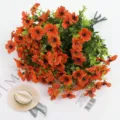 Oranje
