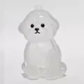 Bichon Frise (with Gold Buckle)