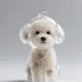 Teddy Dog (with Gold Buckle)