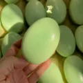 Apple Green Cheese