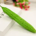 PU Long Bitter Melon