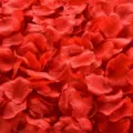 Approx. 1000 Pieces / Red