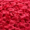 Approx. 1000 Pieces / Rose Red
