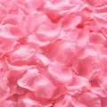 Deep Pink