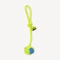 Hanging Ball