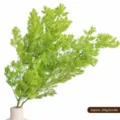 100g Pack / Light Green