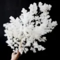 100g Pack / White