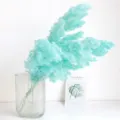 100g Pack / Teal Blue