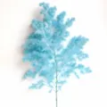 100g Pack / Blue