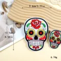 10657-Large Color Skull