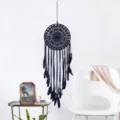 6133C Black Feather