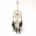 Plume de Paon Vert Matcha / 9549B