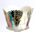 Reflecterend Zilver
