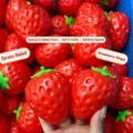 Strawberry Squishy (Block Style)