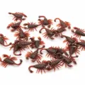 Scorpione Simulato