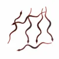 Piccolo Serpente Simulato