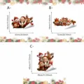 3-Piece Set (SCA3216 3-Piece Set)