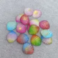 Colorful Mixed Seashell