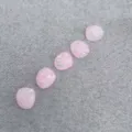 Transparent Small Pink Seashell