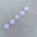 Transparent Small Purple Seashell