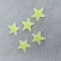 Glitter Yellow Starfish