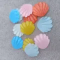 Transparent Large Mixed Seashell