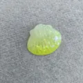 Gradient Yellow Seashell