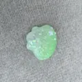 Gradient Green Seashell