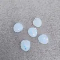 Transparent Small White Seashell
