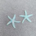 Large Light Blue Starfish