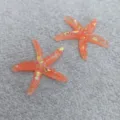 Large Orange Starfish