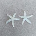 Large White Starfish