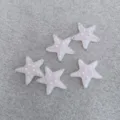 Glitter Pink Starfish