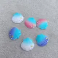 Color Block Mixed Seashell