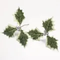 Set da 5 Fiori / Bacca d'Argento