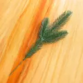 Trident 3D PE Leaf