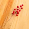 12 Heads Red Berries